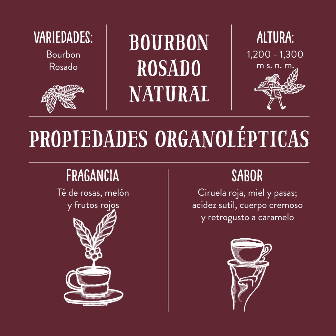 Bourbon Rosado Natural, Cafetal El Equimite