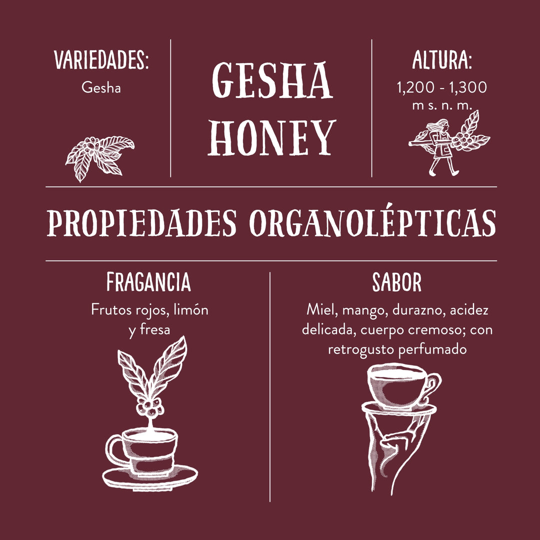 Gesha Honey, Cafetal El Equimite