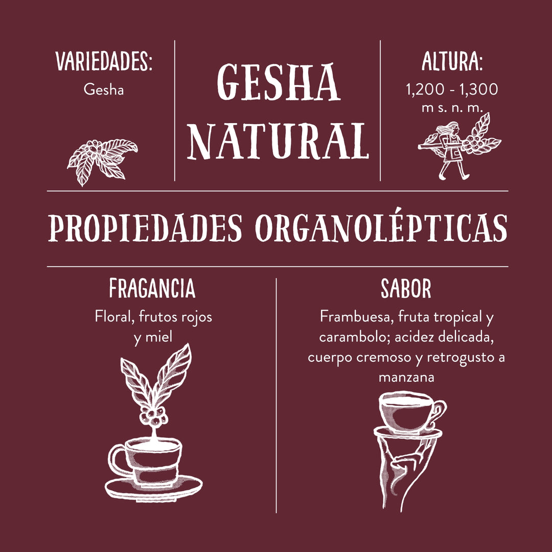 Gesha Natural, Cafetal El Equimite