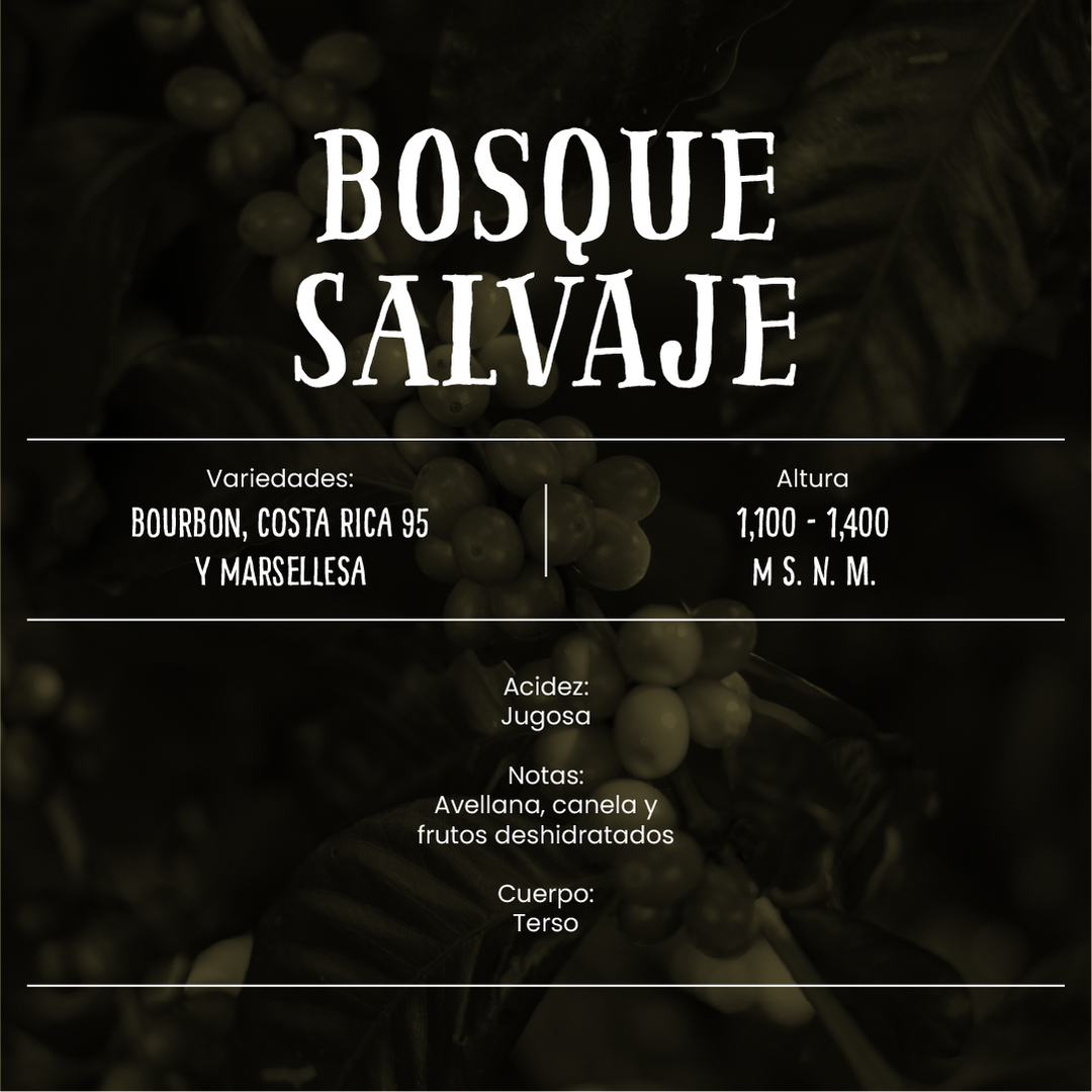 Bosque Salvaje - Café de Especialidad