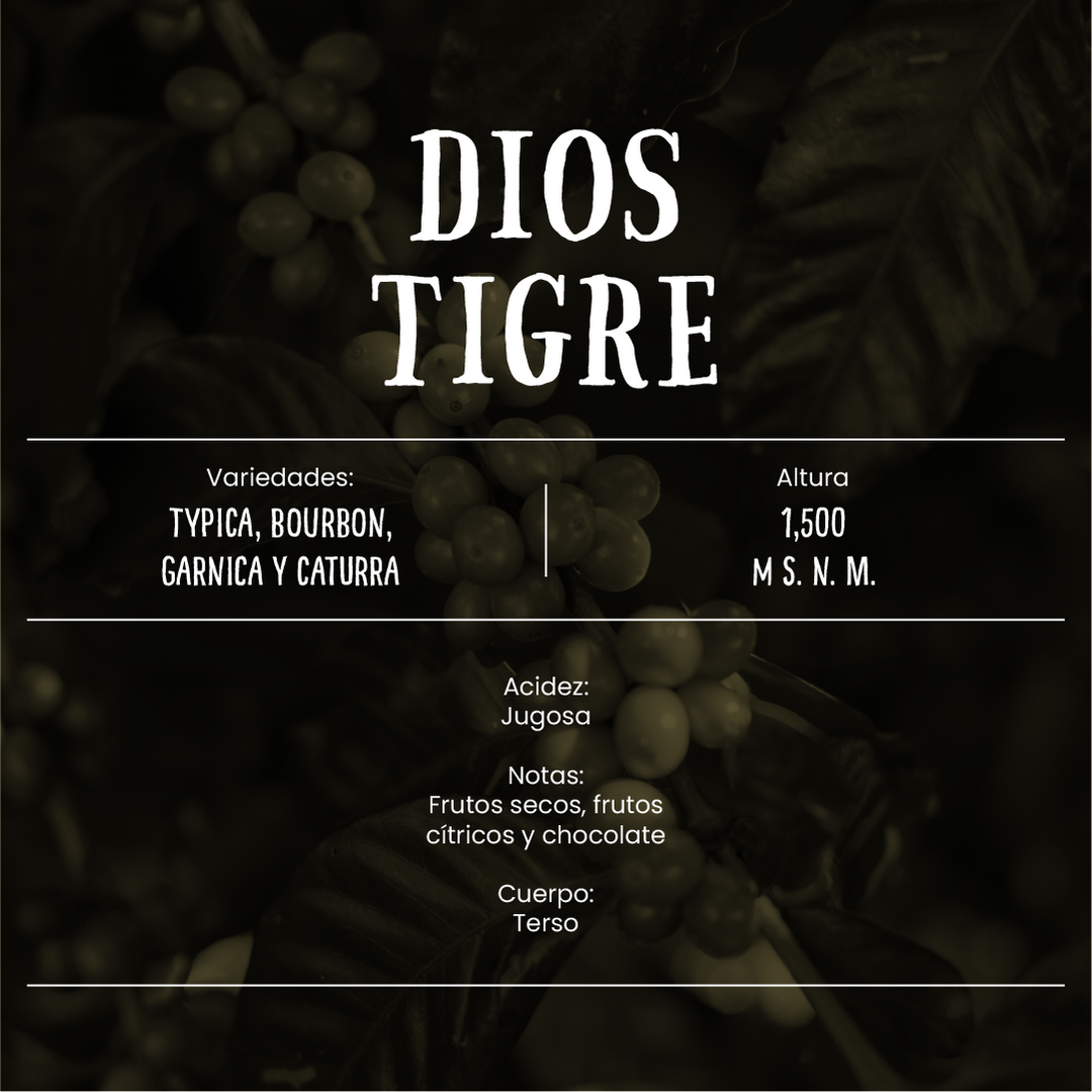 Dios Tigre - Café de Especialidad