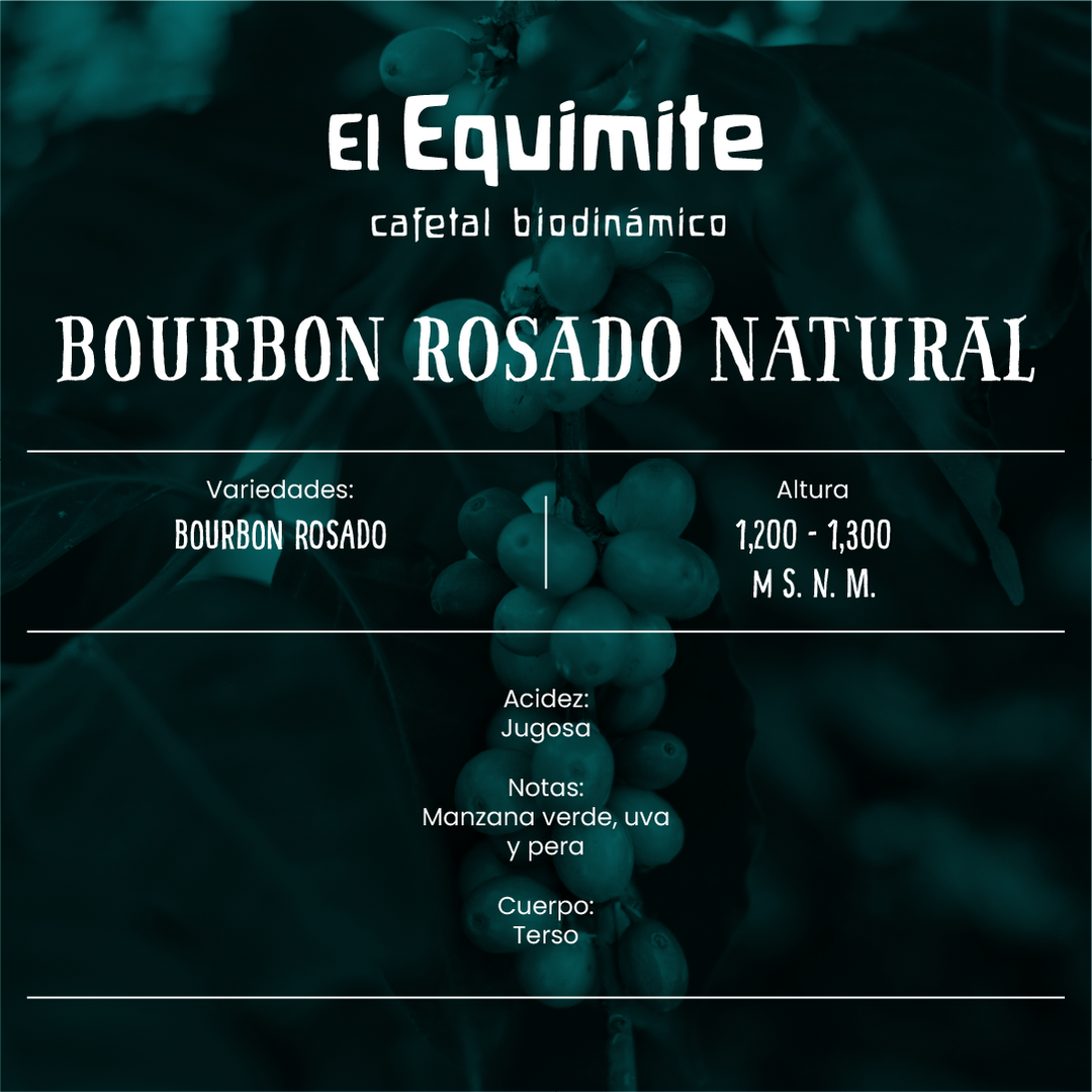 Bourbon Rosado Natural, Cafetal El Equimite - Café de Especialidad