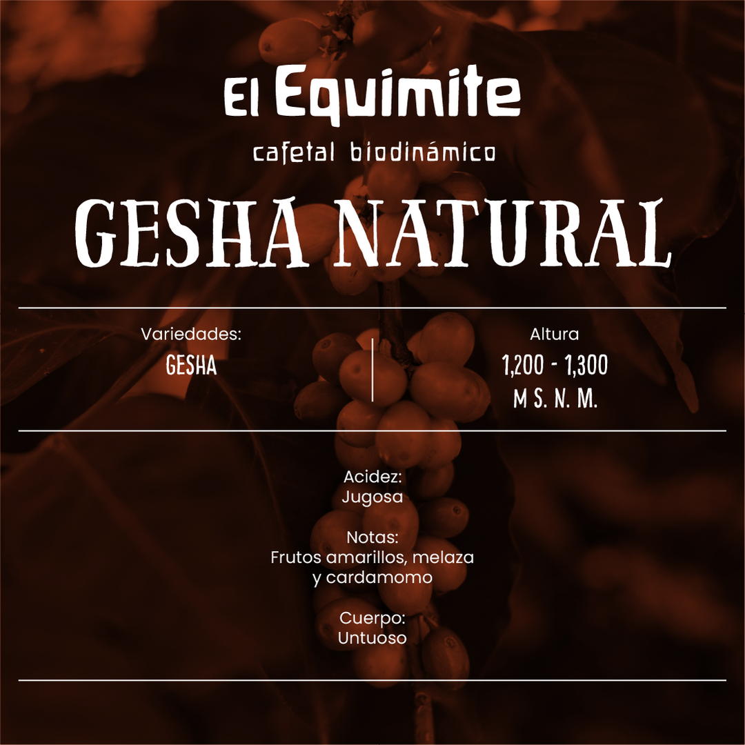 Gesha Natural, Cafetal El Equimite - Café de Especialidad