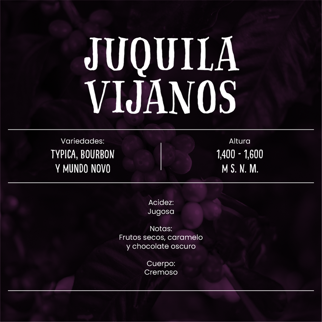 Juquila Vijanos - Café de Especialidad