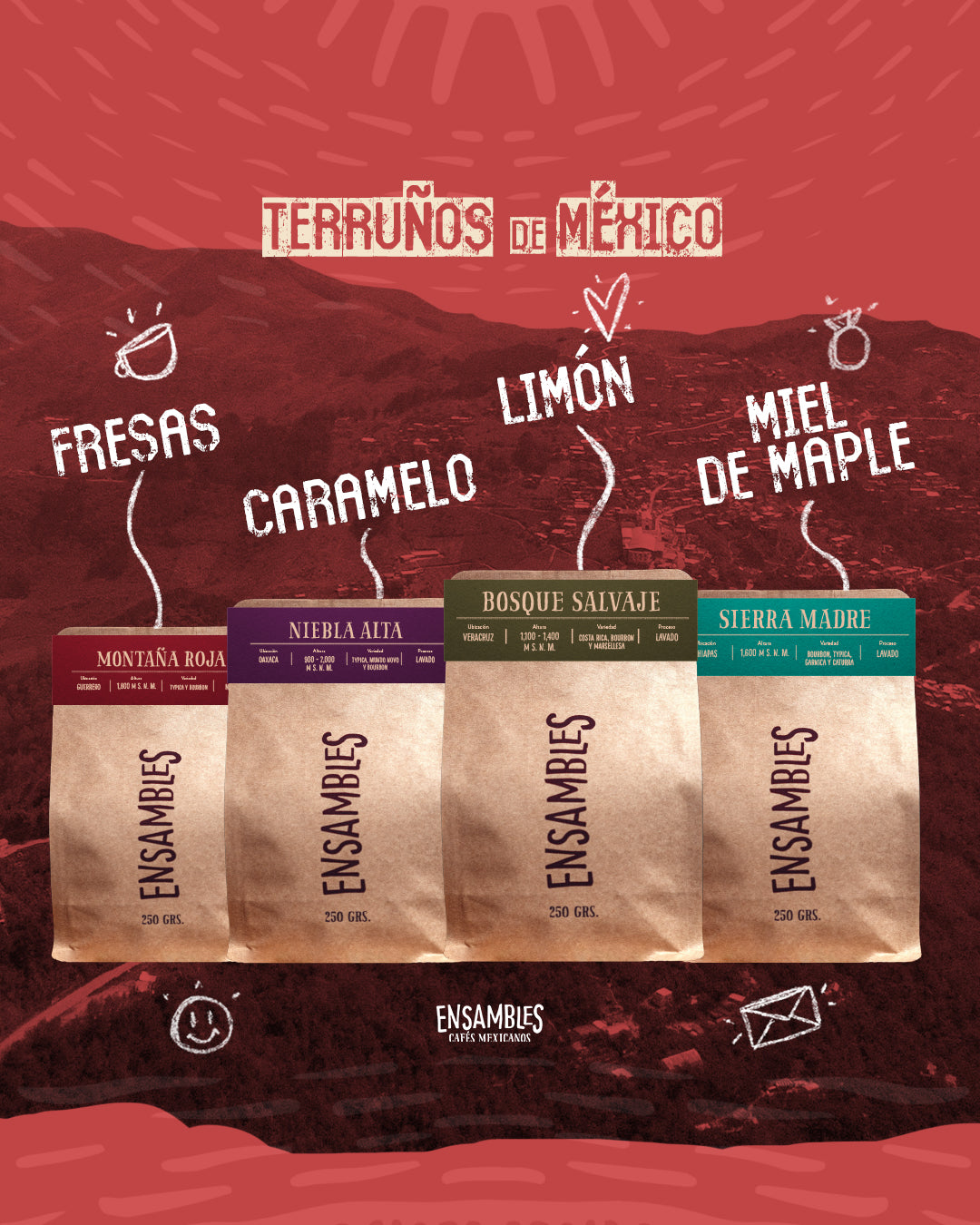 Kit Terruños de México - Café de Especialidad