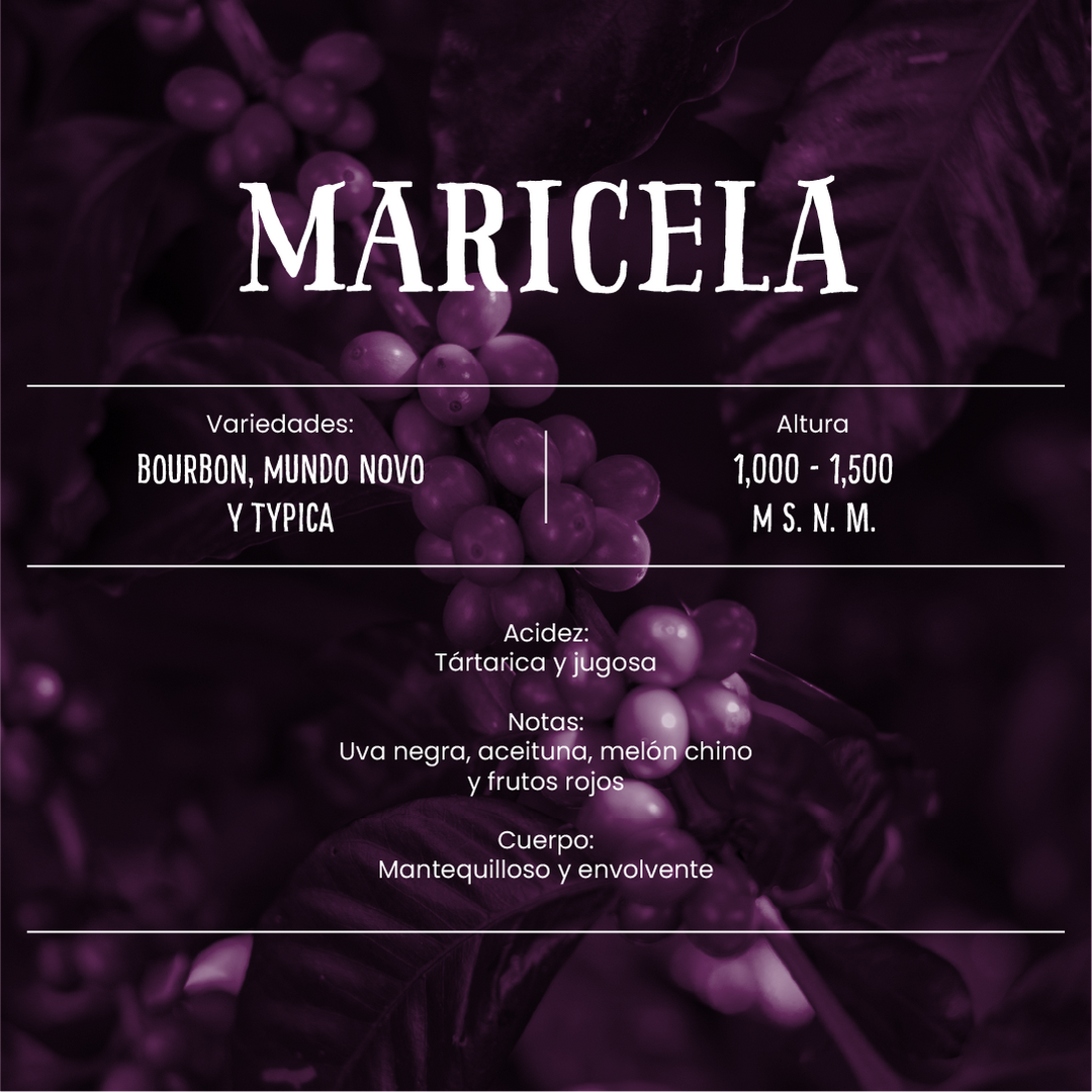 Maricela Natural - Café de Especialidad