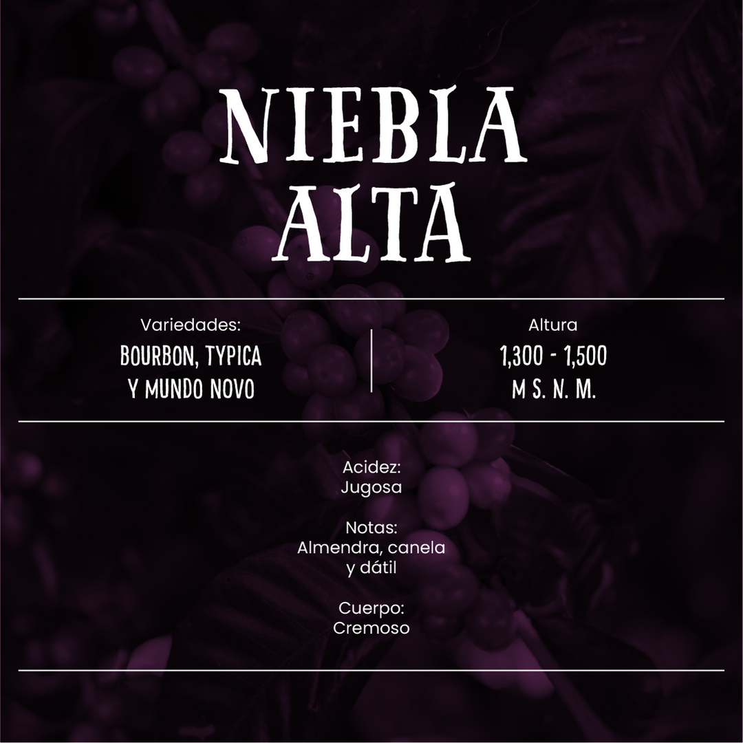 Niebla Alta - Café de Especialidad