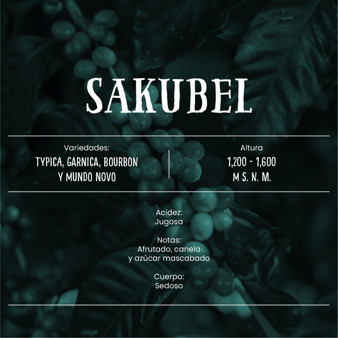Sakubel - Café de Especialidad