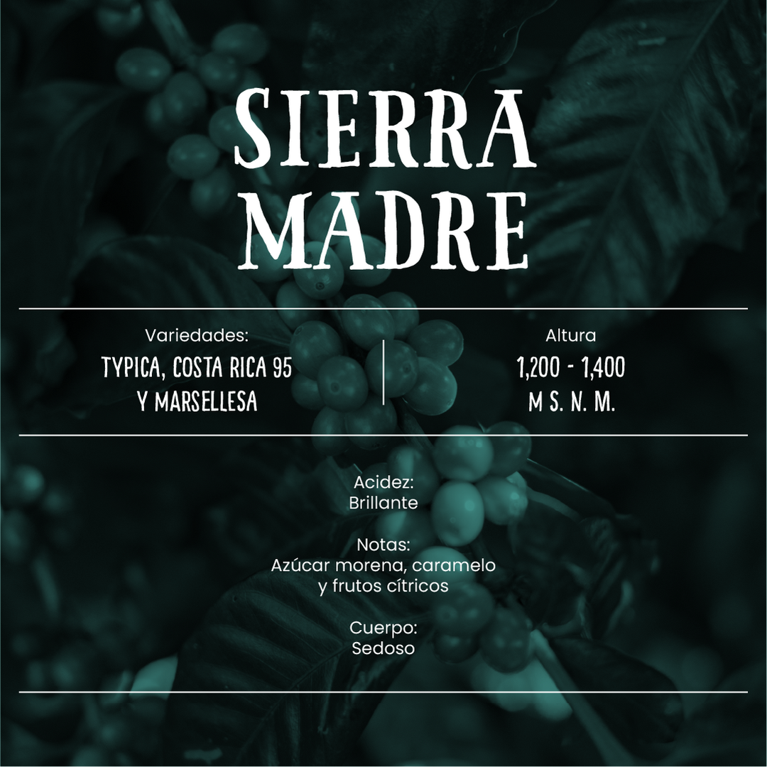 Sierra Madre - Café de Especialidad