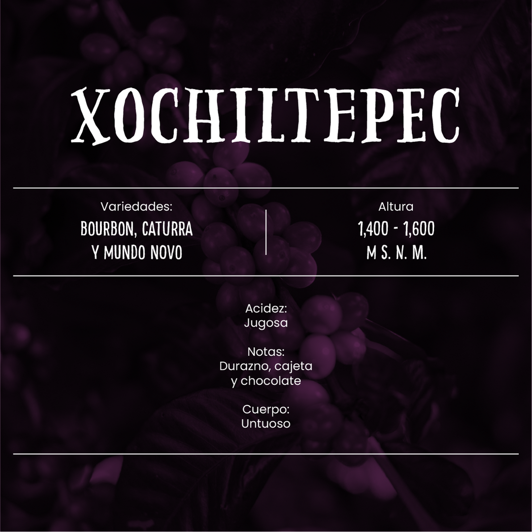 Xochiltepec - Café de Especialidad