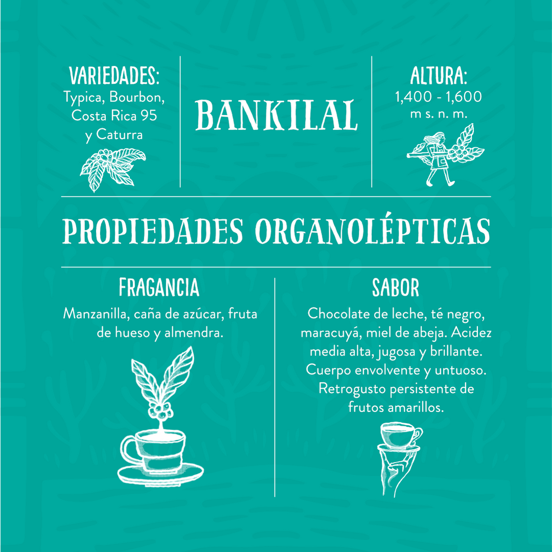 Bankilal - Café de Especialidad