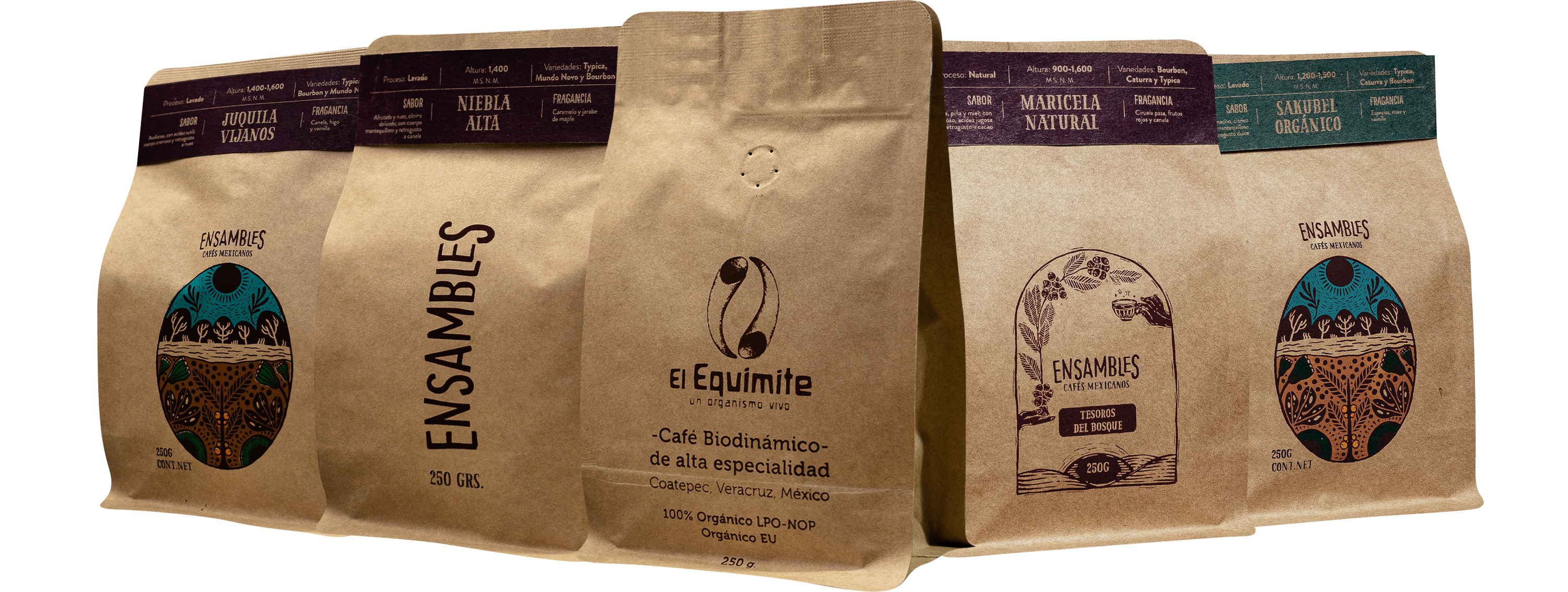 <h1>conoce nuestros cafés</h1>