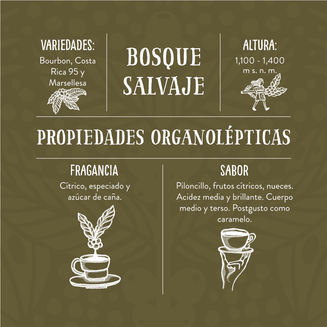 Bosque Salvaje - Café de Especialidad