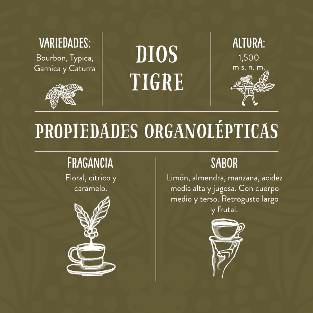 Dios Tigre - Café de Especialidad