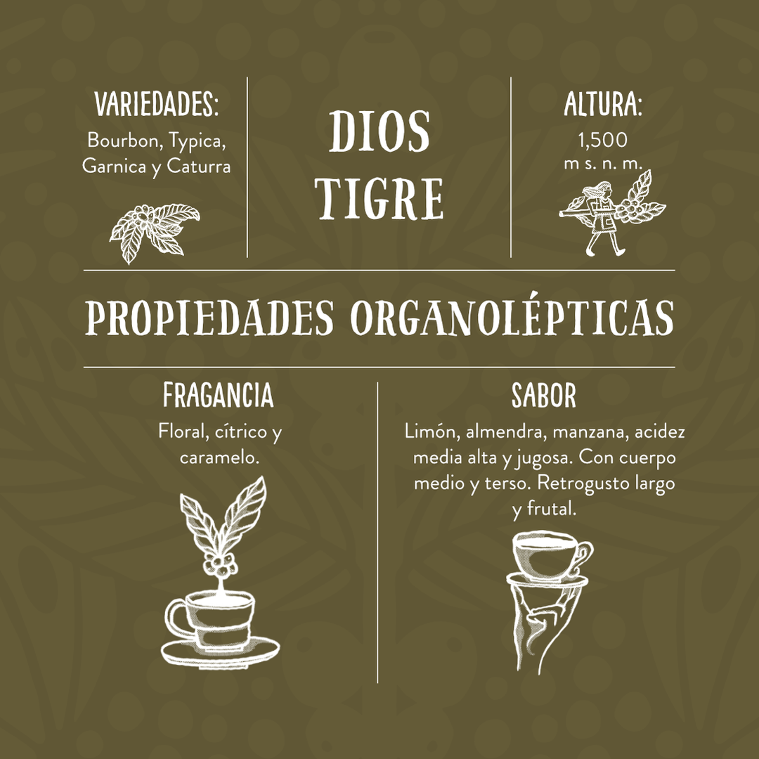 Dios Tigre - Café de Especialidad