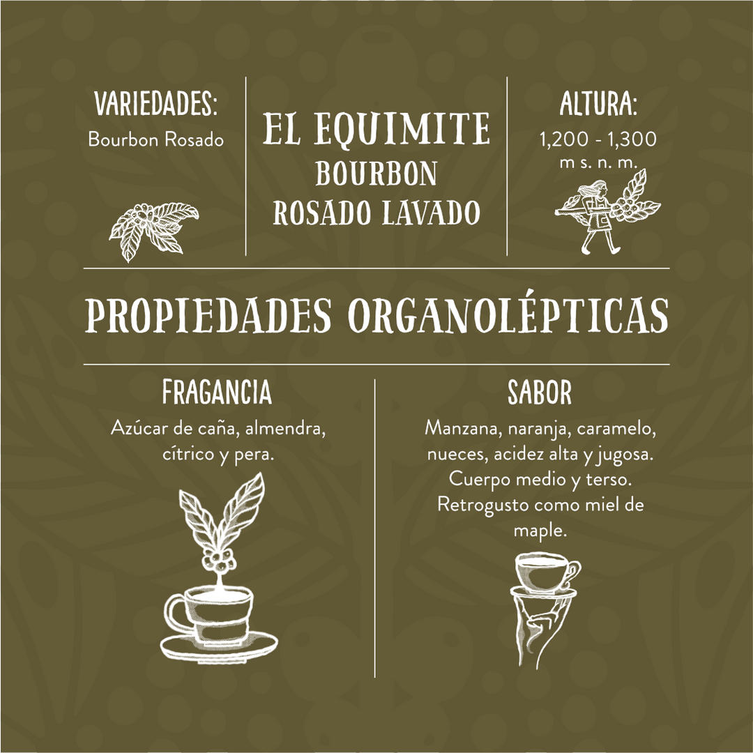 Bourbon Rosado Lavado, Cafetal El Equimite - Café de Especialidad