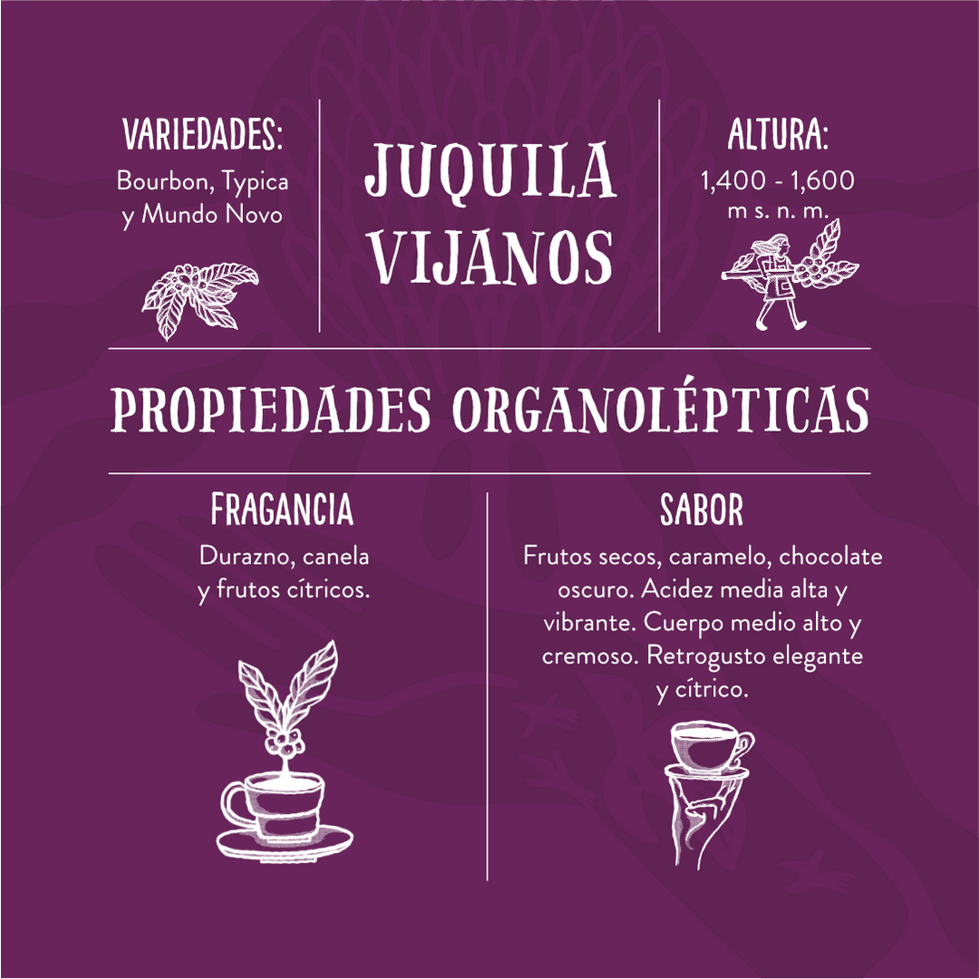 Juquila Vijanos - Café de Especialidad