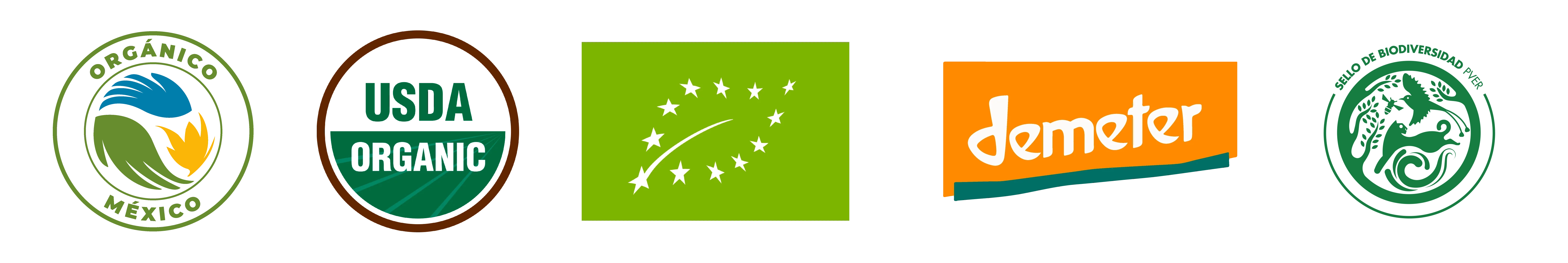 <h1>Nuestros certificados</h1>