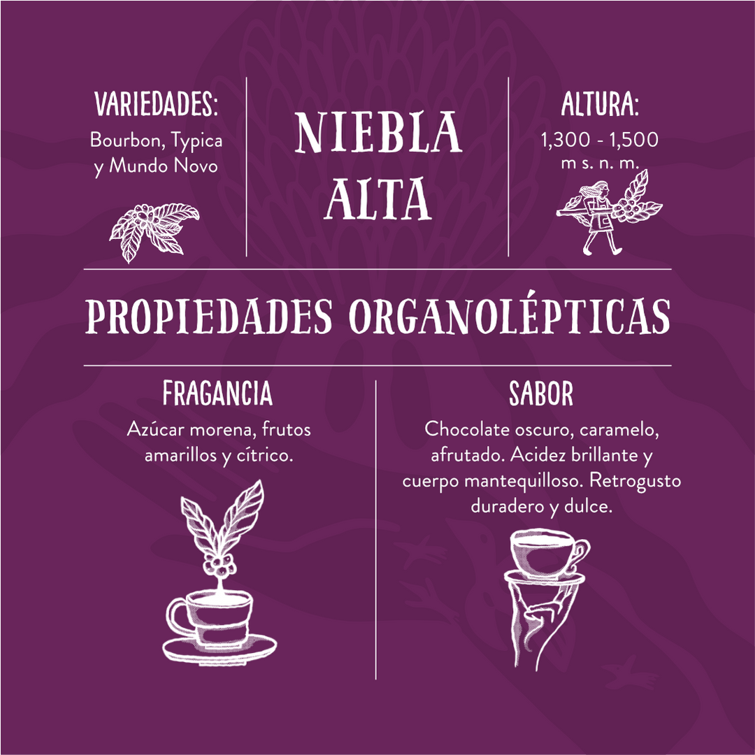 Niebla Alta - Café de Especialidad