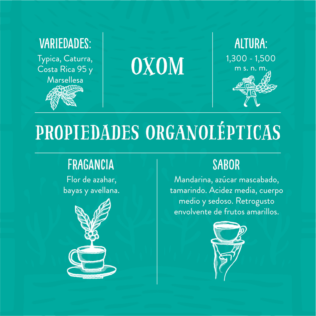 Oxom - Café de Especialidad