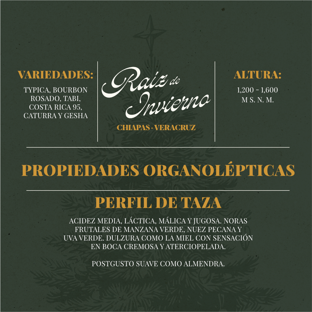 Raíz de Invierno - Café de Especialidad