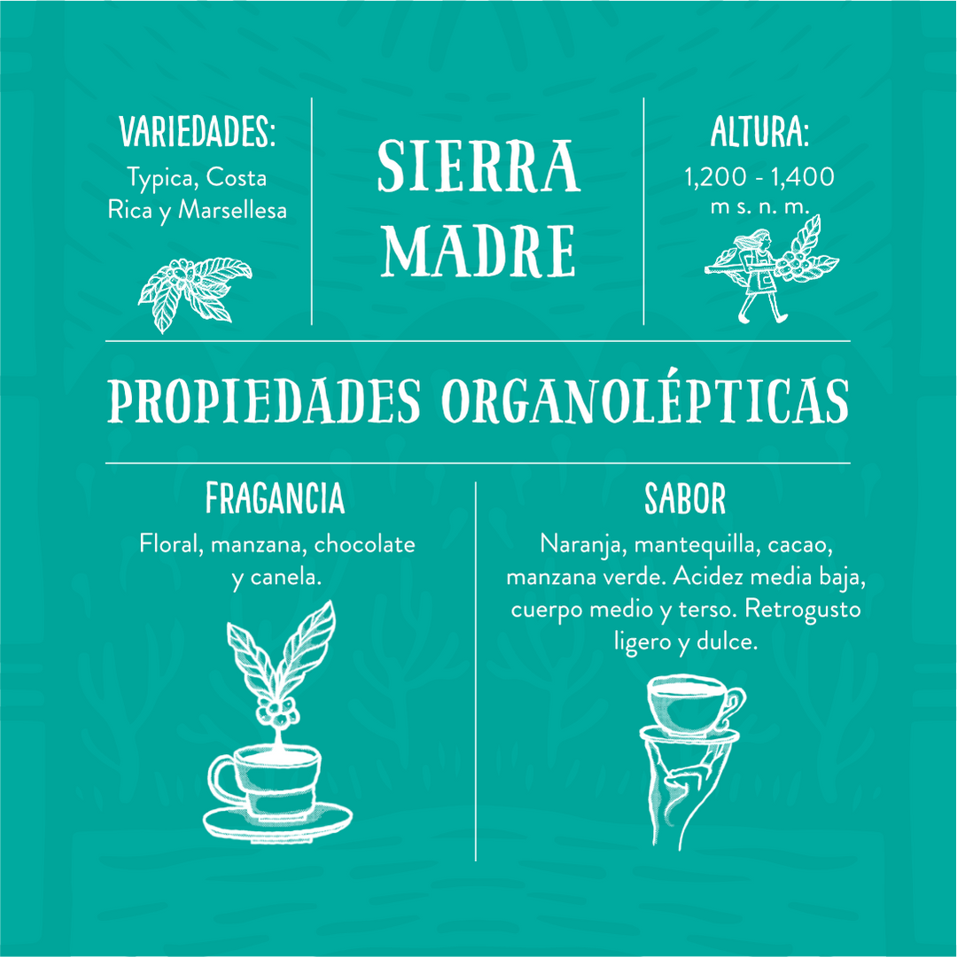 Sierra Madre - Café de Especialidad
