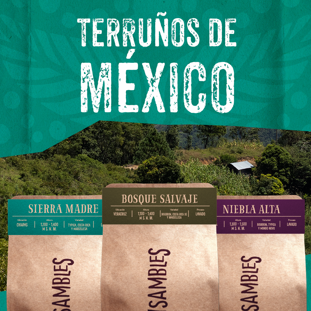 Kit Terruños de México - Café de Especialidad