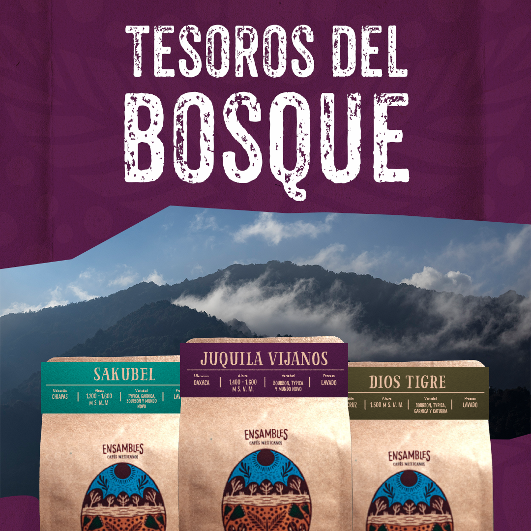 Kit Tesoros del Bosque - Café de Especialidad