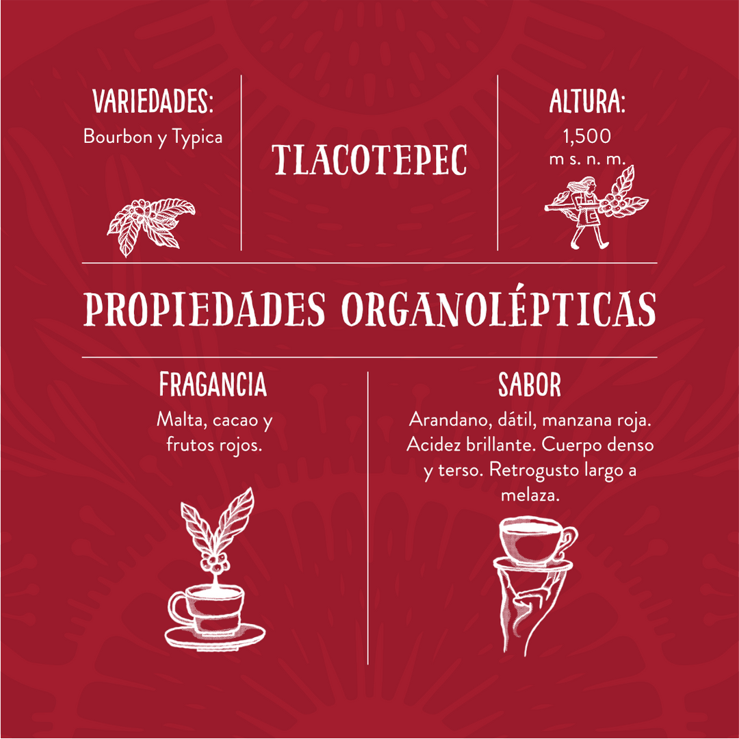 Tlacotepec - Café de Especialidad