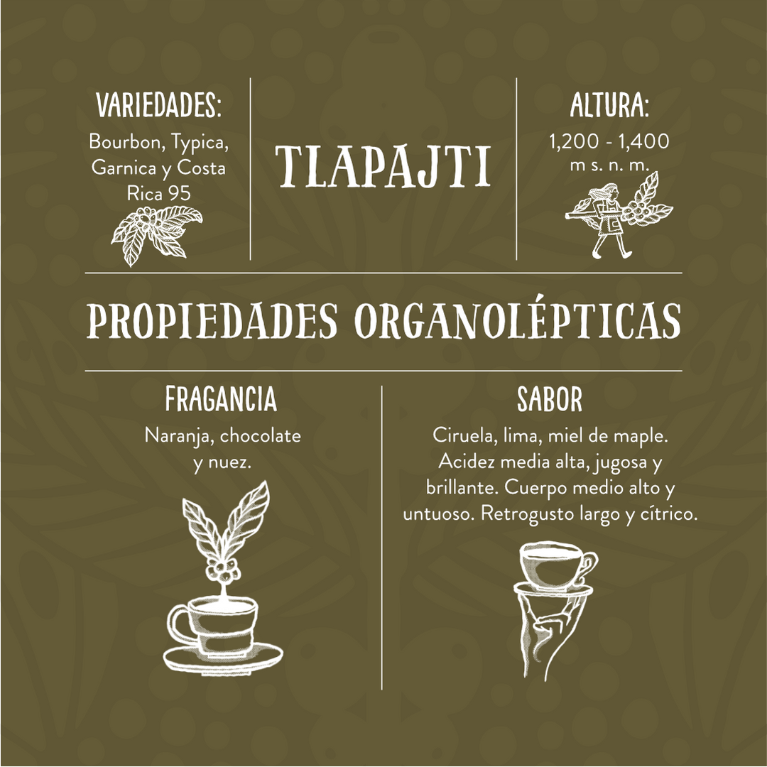 Tlapajti - Café de Especialidad