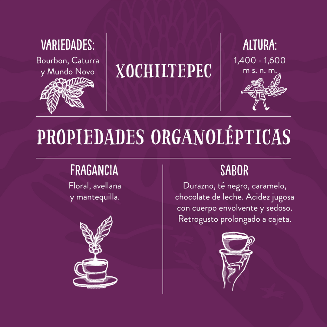 Xochiltepec - Café de Especialidad